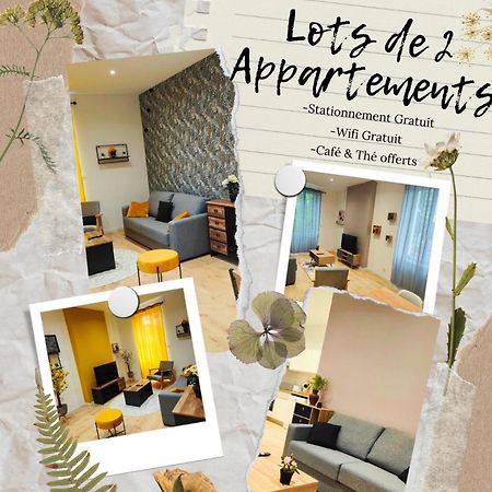 Appartements A Theme Clermont-Ferrand Esterno foto
