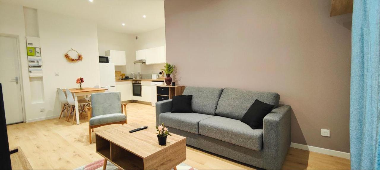 Appartements A Theme Clermont-Ferrand Esterno foto